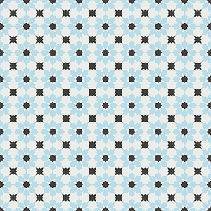 Carrelage Céramique Émaillé Encaustique - CTS 3.8 200x200mm 16mm d'épaisseur Carreaux Intérieurs Modernes Villa Noir Résistant aux Acides ACCENTS Bordures 5 - Product Image 3