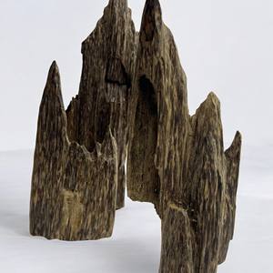 Top Qualité Ant Oud Bois Bakhoor Brûleur Haute Résine avec Forte Longue Durée Parfum Pur Encens Oud Vietnam Agarwood AOW2 Puces - Product Image 1