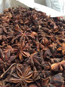 Anís Estrellado de Otoño, Nueva Temporada, Nuevo Stock, Calidad Premium, Venta al Por Mayor |   Anís Estrellado Seco Procesado AD Hecho en Vietnam - Product Image 4