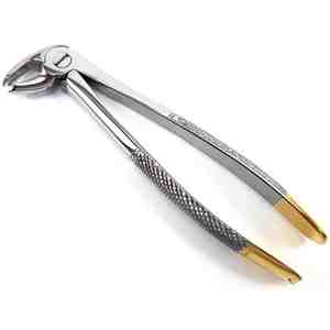 Pince en acier réutilisable n ° 33 Pince d'extraction orale manuelle pour molaires de mâchoire de racine dentaire Instruments chirurgicaux dentaires - Product Image 4