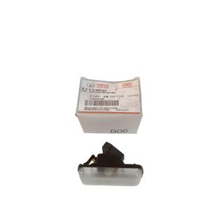 Luz de Matrícula para GREAT WALL MOTOR Wingle Serie 5 (10>21) 4108100-P00 - Product Image 1