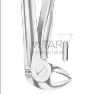 คีมถอนรากฟันสำหรับเด็กขนาดต่างๆ33S อุปกรณ์ทางการแพทย์ทางทันตกรรม - Product Image 3