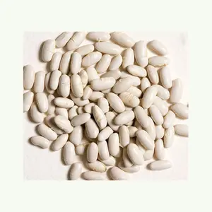 顶级产品白芸豆货架100% 有机安全工艺定制包装批发供应商最优质白棋