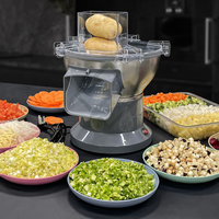 Multifunctionele wortelsnijder en -blokjesmachine, commerciële groente- en fruitsnijder, bestsellers