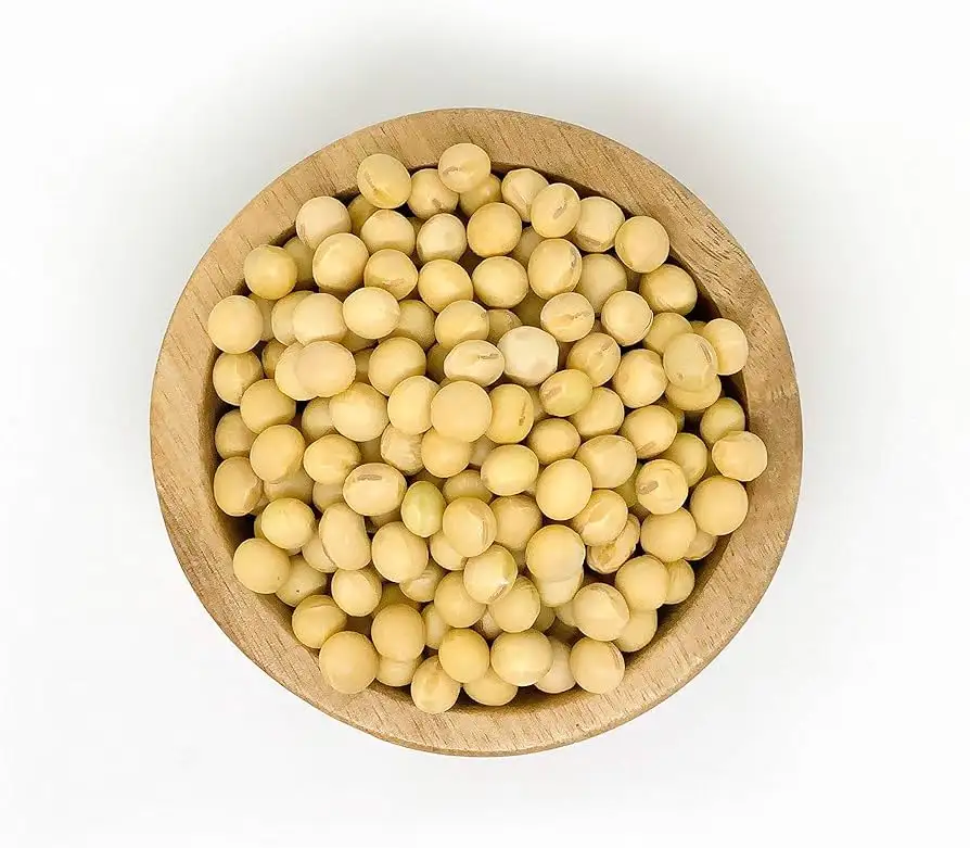 Kacang kedelai NON GMO kualitas baik untuk dijual kedelai kuning untuk tingkat pasar terbaik