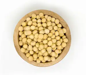 Good Quality NON GMO Soya Beans for Sale Yellow Soybeans - Soybeans for the best market rates