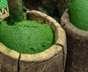 น้ำซุปข้นใบมันสำปะหลังแช่แข็ง - Product Image 5