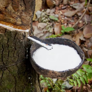 Látex de caucho natural. (Látex de caucho) - Product Image 2