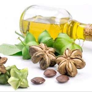 Huile de graines Sachi pour la cuisson à bas prix - Product Image 1