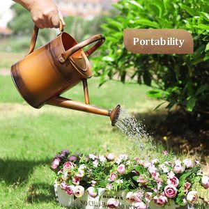 Arrosoir en métal Elegance pour votre jardin Nourrir la nature L'arrosoir en métal classique - Product Image 3