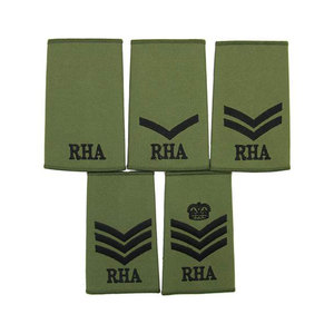 Técnico de municiones RLC Royal Logistic Corps Multicam Rank Slides Royal Logistics Corps RLC Rank Slides/Charretera Par - Product Image 4