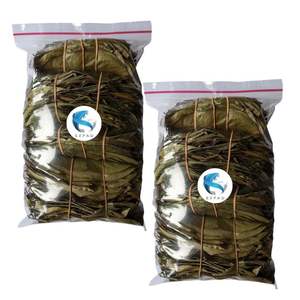 FEUILLE DE SOURSOP SÉCHÉE DU VIETNAM FEUILLE DE GRAVIOLA PRODUIT DE HAUTE QUALITÉ au VIET NAM Avec sac de 100g - Product Image 2