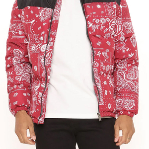Chaqueta acolchada para hombre ecológica más vendida del proveedor directo de fábrica con cuello levantado logotipo personalizado impreso estilo callejero - Product Image 4