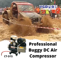 Mini pompe de compresseur d'air à suspension pneumatique embarquée 12V haute efficacité résistant aux intempéries à cycle de service DC sans huile
