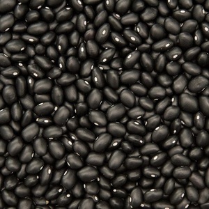 Frijoles Negros de Alta Calidad - Almacenamiento en Seco, Origen Turquía, 2 Años de Duración, Precio Competitivo y Envío Rápido - Product Image 4