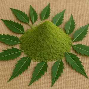 Polvo de Neem para Tónico Facial y Astringente, DIY Natural, Reduce los Poros y Limpia la Piel, Agua Herbal Orgánica, Ayurveda - Product Image 3