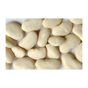 Good Quality Grade Lima <b>Beans</b> Whole Sales Price/High Quality Natural Grown White Kidney <b>Bean</b> Organic Bulk Dry <b>Beans</b> - Product Image 5