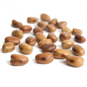 เมล็ดลาวาแบบแยกตามธรรมชาติสำหรับการส่งออกและผลิตอาหาร - Product Image 6