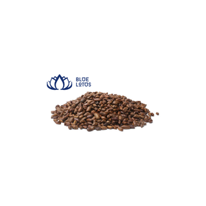 VENTA CALIENTE 2023 SEMILLAS DE CASSIA TORI DE BLUELOTUS VIETNAM PARA NIÑOS - Product Image 1
