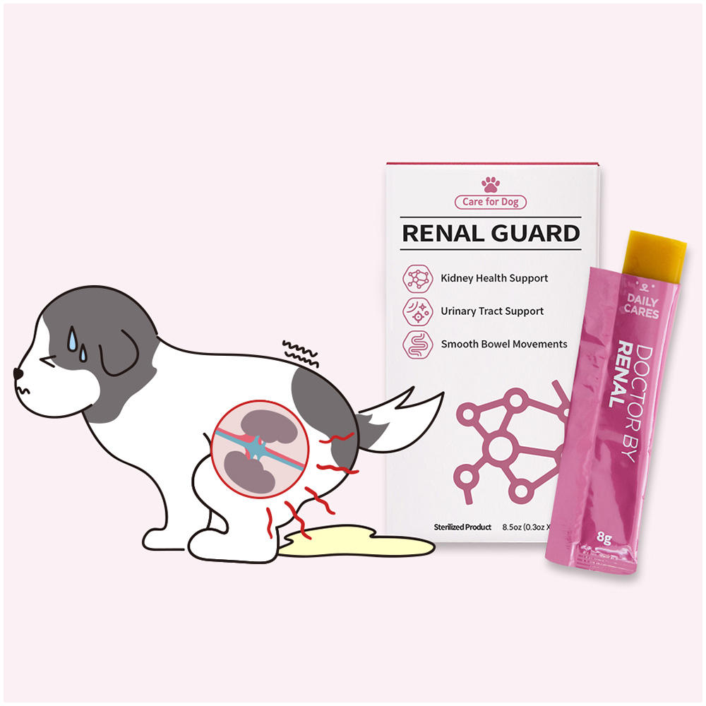 Iron Deficiency Anemia Dogs OIMMAI Liquid Supplements