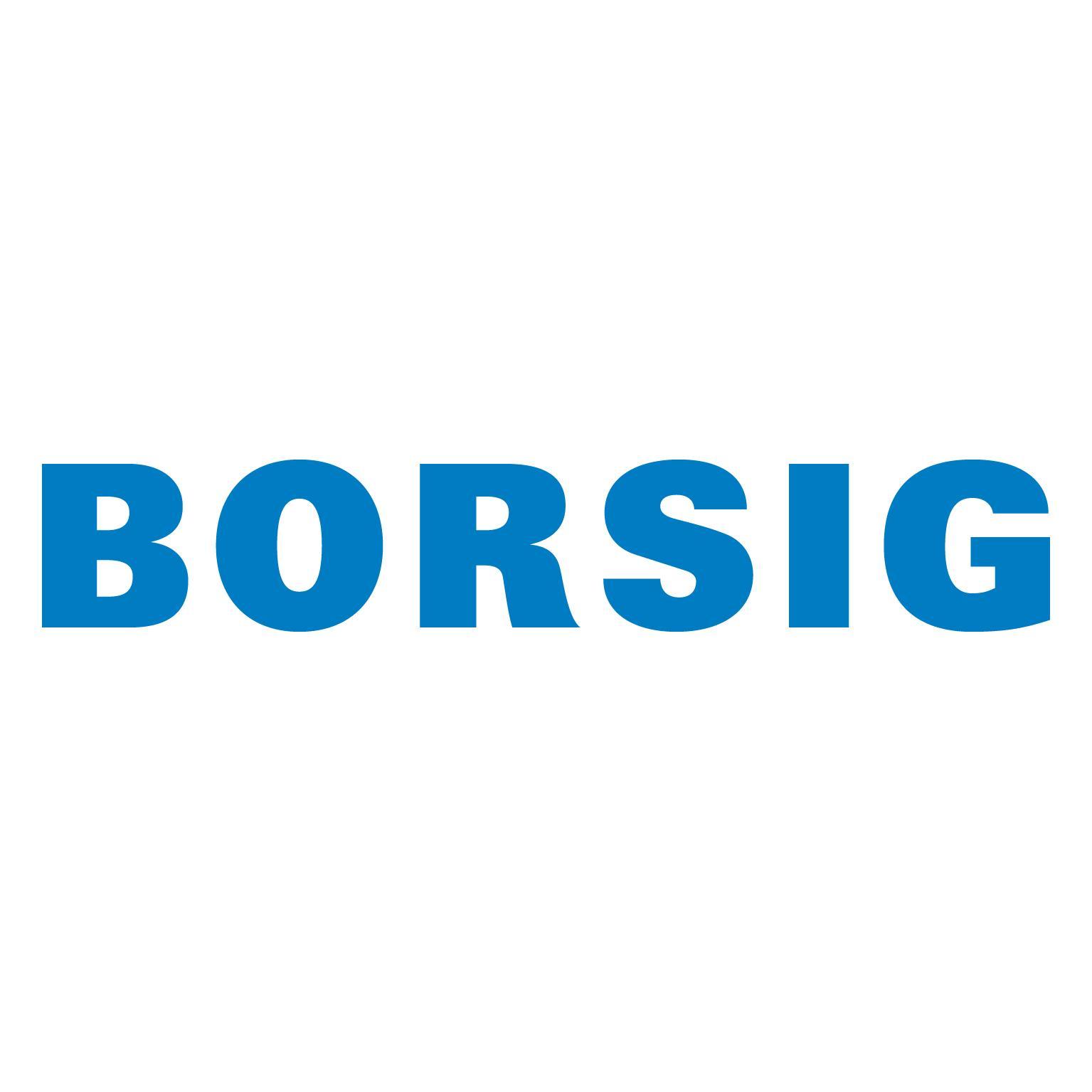 BORSIG Service GmbH logo