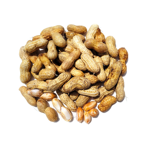 ถั่วลิสงดิบขายส่ง มีสินค้าพร้อมจัดส่งอย่างต่อเนื่องและมีเครือข่ายการค้า - Product Image 6