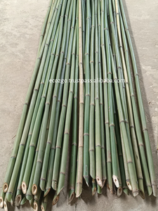 Nouveau produit Poteaux en bambou peints/Poteau en bambou coloré en bambou naturel 100% avec des prix bon marché par Eco2go Vietnam - Product Image 2
