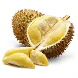 Buah organik peringkat atas Thailand Durian Montong Durian kualitas tinggi kelas ekspor lezat buah segar manis