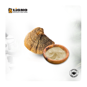 LiGNO SH02 Poudre de Sang Huang Malaisie Énergie Naturelle Soutien Immunitaire Nutraceutique Fonctionnel OEM ODM Prêt Complément Alimentaire - Product Image 1