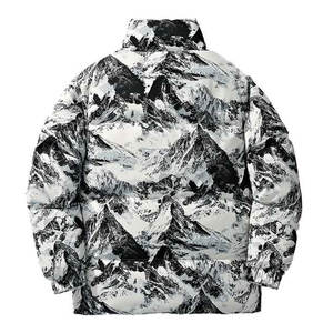 Veste matelassée d'hiver tendance, col montant, logo sur le devant, légère, chaude, vêtements d'extérieur, impression couleur, streetwear - Product Image 2