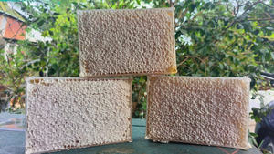 Panal de Miel Cruda Natural al por Mayor, Miel Pura para Consumo Humano de Vietnam - Product Image 5