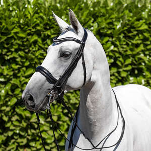 Brida anatómica Concord Brida anatómica FREEWAY Shimmer ORO ROSA MARRÓN TOPACIO CUARZO Cristal BLING Brida Fabricante - Product Image 5