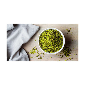 Exportation en gros de haricots mungo, haricots verts de haute qualité, expédition fiable - Product Image 4