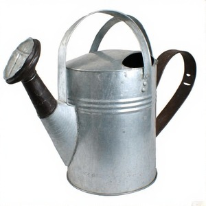 Arrosoir galvanisé artisanal avec surface décorative en relief et taille compacte pour l'entretien des plantes d'intérieur - Product Image 6