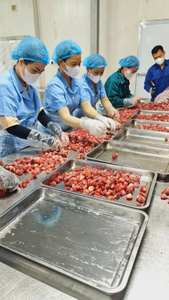 Fraises surgelées de haute qualité GRADE A du Vietnam, idéales pour les industries des boissons et des glaces - Product Image 4