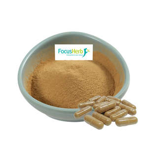 Extracto de hongo de Melena De León orgánico Focusherb de alta calidad en polvo 30% Extracto de melena de León de polisacárido - Product Image 3