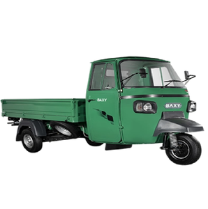 BAXY Auto "SUPER KING CNG CARGO" India Popular Auto Rickshaw Transporte Vendedor ambulante Uso Durable 3Wheeler Rickshaw marco de metal - Product Image 4