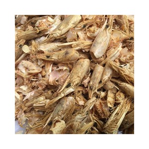 Fertilizante de concha de camarón seco, extracto de quitosan Natural, procesamiento de secado solar, alta calidad - Product Image 1