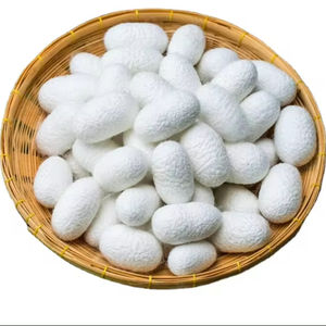 Capullos de gusanos de seda de lujo/textura suave/oferta económica/hecho en Vietnam - Product Image 5