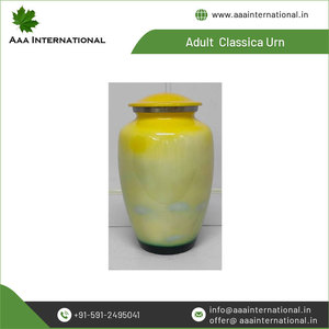 Última Llegada, Venta al por Mayor, Urnas Clásicas de Estilo Americano de Súper Calidad para Adultos - Product Image 2