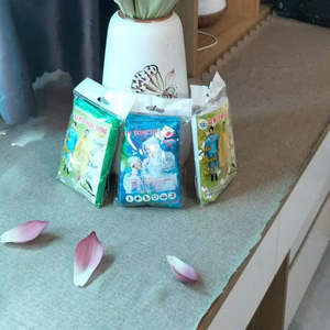 Precio de fábrica Vietnam PE impermeable desechable ligero impermeable al aire libre portátil impermeable fabricante de alta calidad - Product Image 6