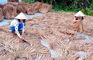 Strong dried <b>water</b> <b>hyacinth</b> durable consistent strands perfect for woven goods factories and export trade - Product Image 6