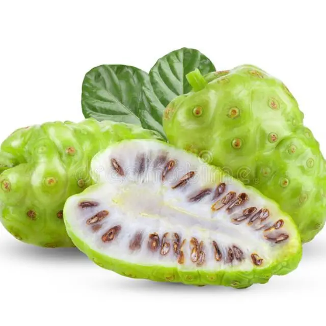 Vendita calda!!! Vietnam frutta biologica Noni/frutta Noni/morsec Citrifolia con alta qualità e miglior prezzo