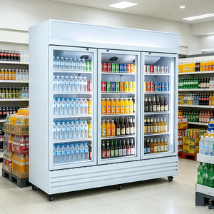 Réfrigérateur vertical commercial à température unique, économique, à porte unique, à refroidissement par air, avec contrôle mécanique de la température et éclairage LED - Product Image 6