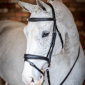 Bride Flash de compétition Bride de cheval en cuir véritable colorée de luxe en Inde Bride de cheval en cuir véritable multicolore chaud - Product Image 4