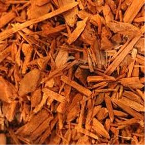 Écorce de Corynanthe - Product Image 1