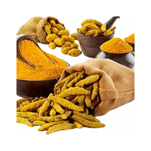 Dedo de cúrcuma Calidad Grado Mejor tarifa Dedo de cúrcuma fresco disponible - Product Image 6