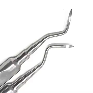 Elevadores de extracción dental manuales con punta curva de 4mm Instrumentos quirúrgicos de luxación de raíz reutilizables hechos de acero y plástico - Product Image 3