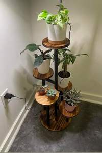 Estante Esquinero Multifuncional de 4 Niveles, Hecho a Mano con Hueso de Búfalo, Duradero, Moderno, para Fotos, Organizador, Exhibición de Plantas - Product Image 3