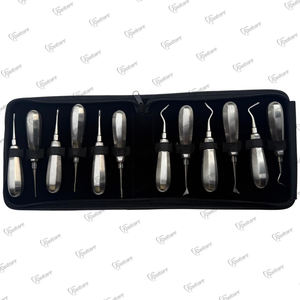 Kit de Elevadores de Raíces Luxantes Premium, 12 Piezas, Acero Francés, Juego de Instrumentos Quirúrgicos Dentales con Punta Afilada - Product Image 5